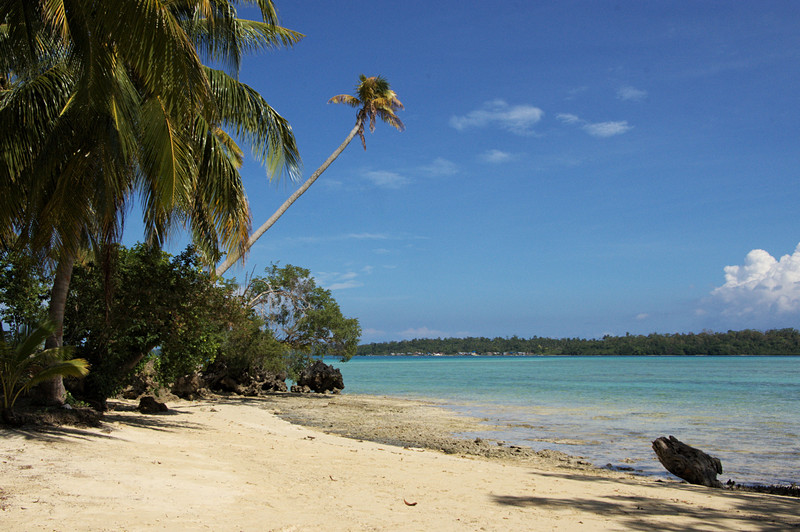 the beach